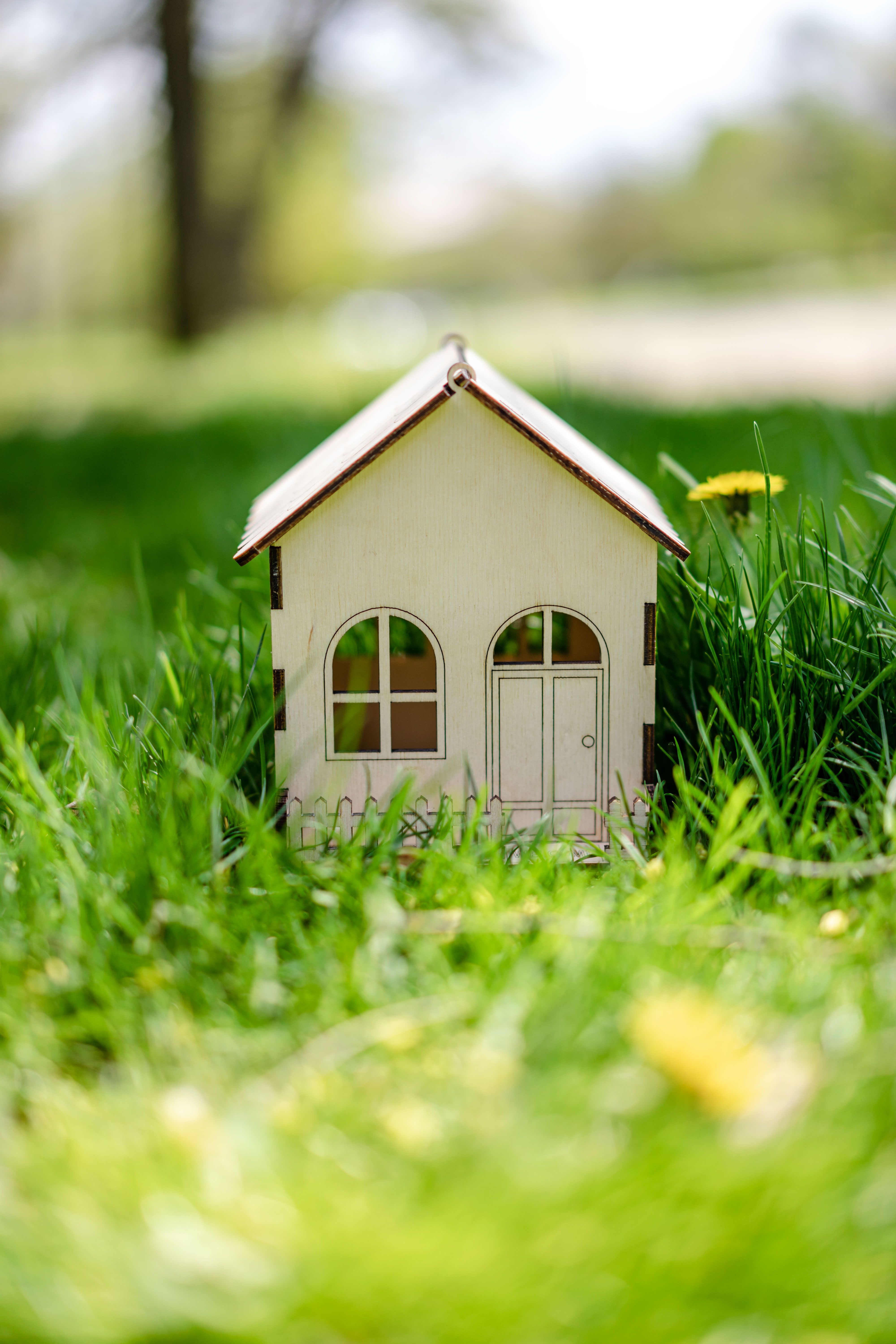 Fördergelder Tiny House Nahaufnahme Miniatur Wiese